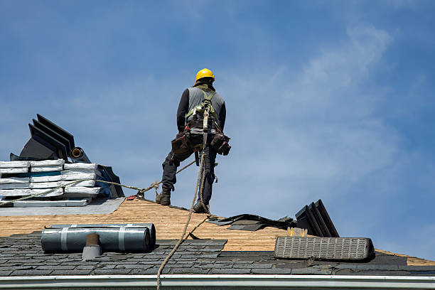 Professional Roofing technician working in Hamilton, WA